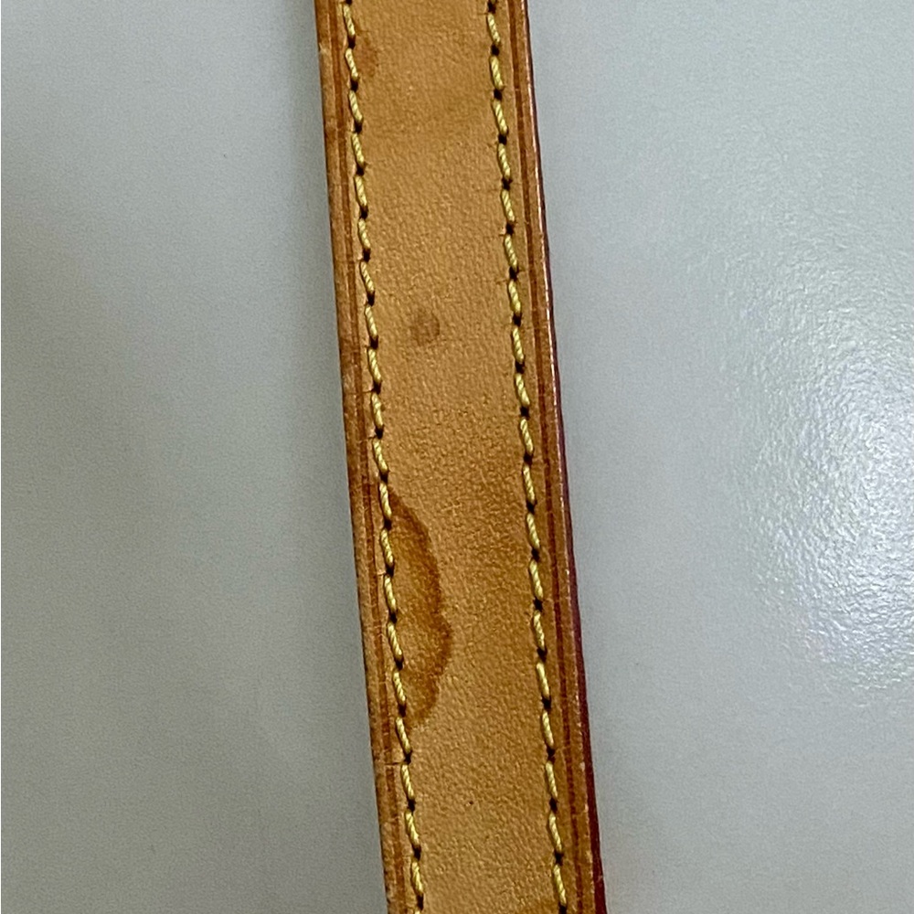 Louis Vuitton Odeon PM Monogram Crossbody Bag - Picture 9 of 16